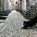 조약돌집 이미지