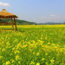 이포보 강변 이미지