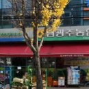 농협 남광주지점 이미지