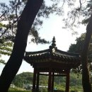 사군로 네이버블로그