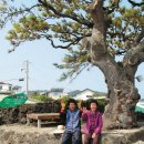 북촌리멤버 이미지