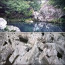 머체왓숲길영농조합 | 서귀포 숲길, 쉬멍 걸으멍∼ 돌담 너머 숲길향…