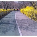 서울성모병원 정문 앞 횡단보도 이미지