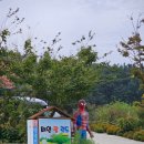 태안팜랜드 이미지