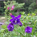 승희농장 이미지