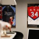 고릴라 짐 이미지