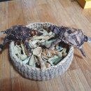전통복조리연구소 네이버블로그