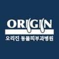 오리진 동물피부과병원 이미지