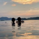 슈가브리움 이미지