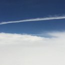 같이갈래? 이미지