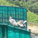 자연으로 이미지