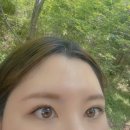 더 새로미샵 이미지