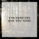 맑은아침 이미지