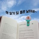 달숲민박 네이버블로그