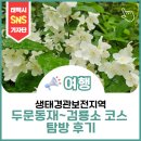 두문동재 | 생태경관보존지역(두문동재 ~ 검룡소) 산행 후기