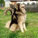 럭키농장 이미지