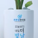 튼튼업한의원 네이버블로그