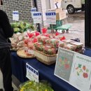 팔달구청 이미지