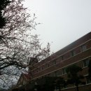 가르멜수도원 이미지