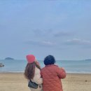 선일회박사 | 충남 해돋이 명소 당진 왜목마을 노지캠핑 바다뷰 성공적