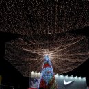 크리스마스 트리 축제 네이버블로그