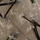 더아름다운한의원 이미지