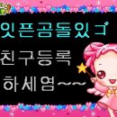 버디버디B 이미지