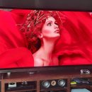 Beauty in Dog's 이미지