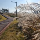 창리근린공원 이미지