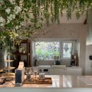 고내리본 이미지