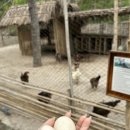 윤형농장 이미지