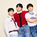 해바라기-청춘(1) 이미지