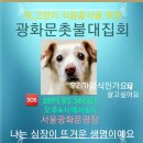 용종농장 이미지