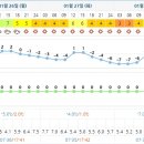 쌍솔식당 이미지