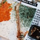 동인천삼치골 - 미추홀구 | 동인천삼치골
