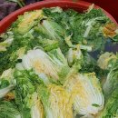 추양농장 이미지