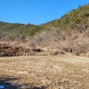 김행수농장 이미지