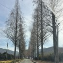 남해-158 | Happy lunar new year! feat.해남 ( 대흥사 / 해남맛집 추천)