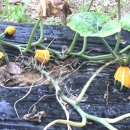 대창초등학교 이미지