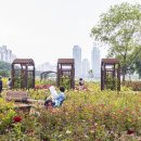 안양천(좌안) 이미지