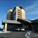 델피노숲 이미지