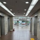 개화아이래쉬 - 천안시 동남구 터미널4길 21-1 | 영등포속눈썹연장, 여의도속눈썹 자연스러운 개화아이래쉬 후기