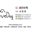 세이브독 이미지