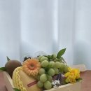 컵과일오아시스