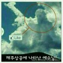 영진할인마트 이미지