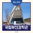 국립부산과학관 | 부산 국립부산과학관 리얼 후기, 주차와 2층 전시 완전 정복!