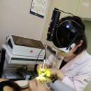 혜성플러스의원 이미지