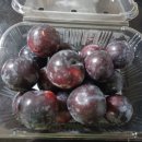 루니농장 이미지