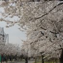 양화진공원 입구 이미지