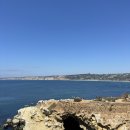 라호야(LA JOLLA) | 샌디에이고에서 가장 아름다운 해변 라호야코브(La Jolla Cove) - 바다사자, 맛집, 사진 스팟, 주차